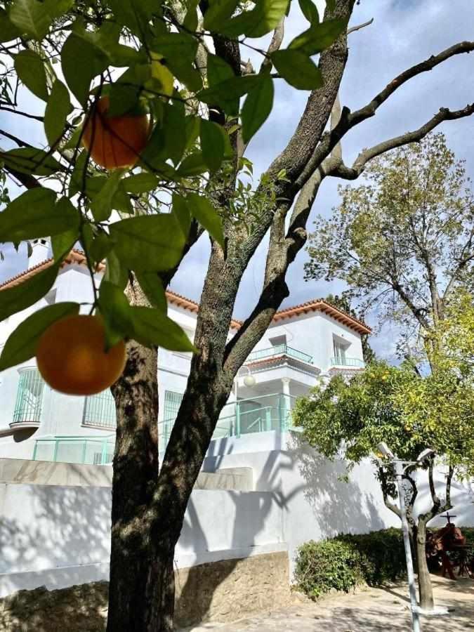 Nuevo Los Almendros 101 Complejo Turístico Apartamento Córdoba Exterior foto